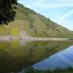 Mosel-landhaus Pensión 3*