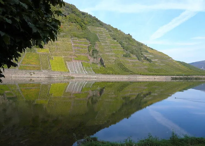 Mosel-landhaus Casa de hóspedes 3*