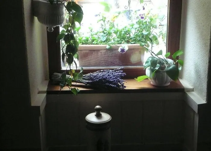 Mosel-landhaus Casa de hóspedes 3*