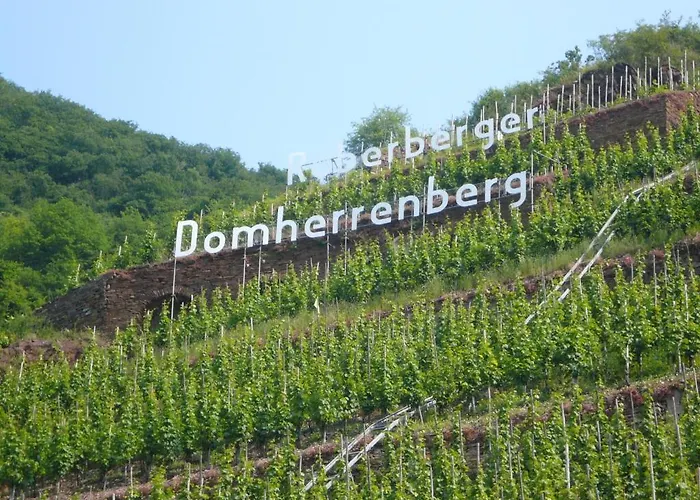 Konukevi Mosel-landhaus